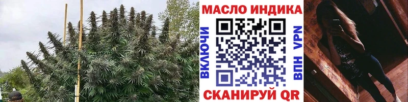 дарнет шоп  Новомичуринск  kraken ССЫЛКА  ТГК жижа 